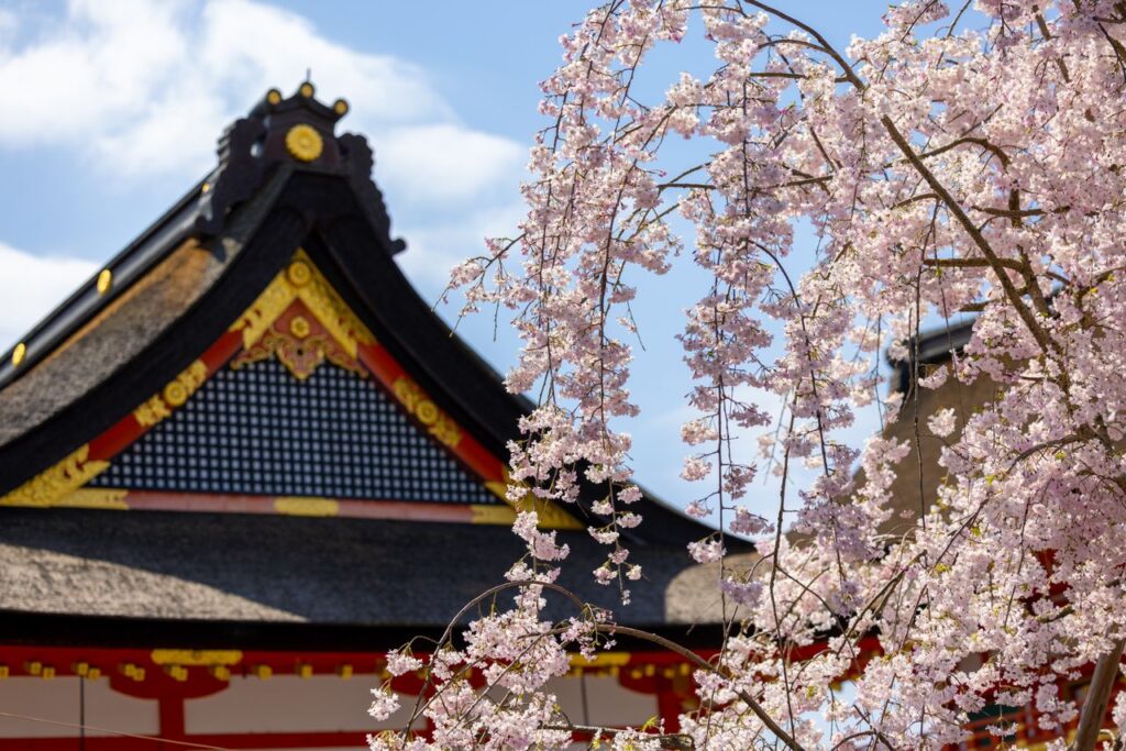 Un árbol de cerezo frente a un templo japonés